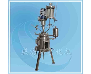上海玻璃視窗反應(yīng)釜