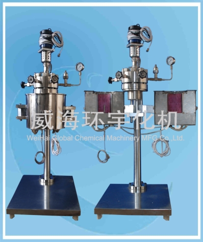 上海0.05L High- pressure  Reactor