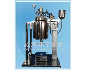 上海10L 高溫高壓反應釜