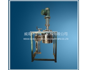 上海磁力反應釜帶直聯(lián)電機